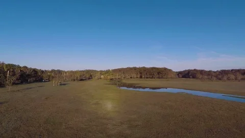 Drone of swamp river area Stock Footage 111269123