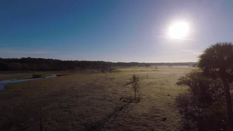 Drone of swamp river area Stock Footage 111269125