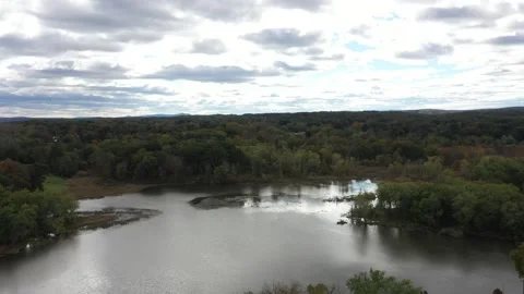 Drone swamp treetops Video stock 269441170
