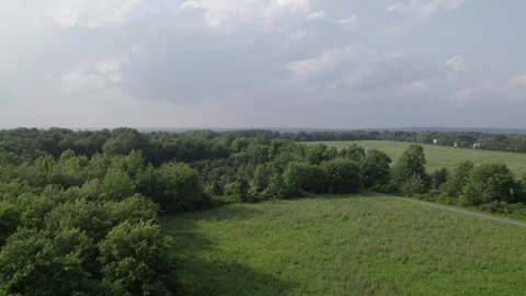 Drone swift move over large green field and trees Stock Footage 160072662