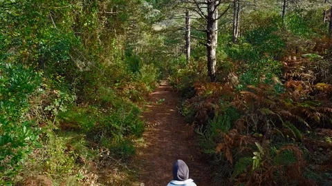 Drone tacks kid with bag walking in  forest. Stock Footage 91007369