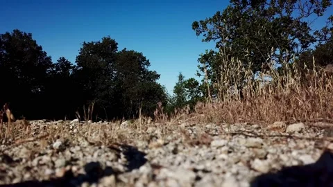 Drone take off Video stock 149905417