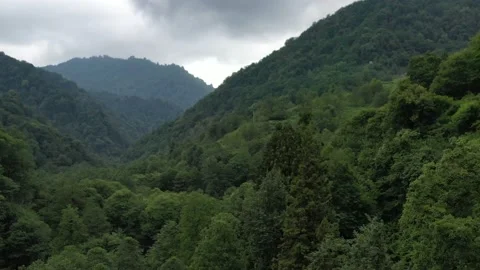 Drone take off in the forest in cloudy weather Stock Footage 151194374