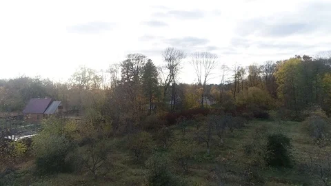 Drone take off over the forest Stock Footage 119384308