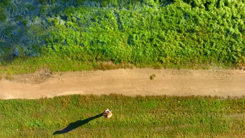 Drone take off over a path in the autumn park Video stock 162456505