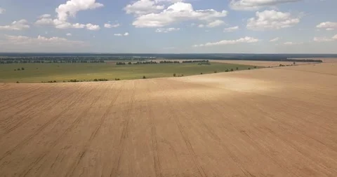 Drone take off over a wheat field on a sunny summer day with a scenic view Stock Footage 135798429