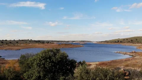 Drone Takeoff Flies Over a Tree and Reveals a Lake Stock Footage 231861580