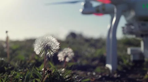 Drone Takeoff Flower Power Stock Footage 60658059
