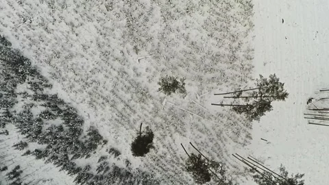 Drone takeoff over snowy trees. Stock Footage 147056852