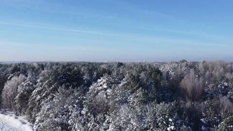 Drone takeoff over winter forest on a sunny day. City on the horizon. Winter. Stock Footage 231110484