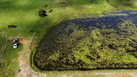 Drone Takes Off After Refueling and Battery Change Near Lily-Covered Pond 스톡 동영상 333988660