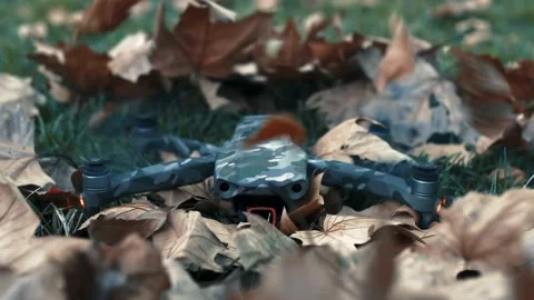 A drone takes off in autumn from under a large number of leaves Stock Footage 139041119