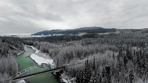 Drone takes off a bridge over the river in a pine forest Vídeo Stock 119235151