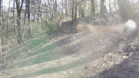 The drone takes off in the forest, trees Video stock 127817450
