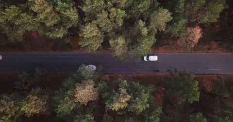 The drone takes off over a forest road with a bicycle path with a speed limit of Stock Footage 143211663