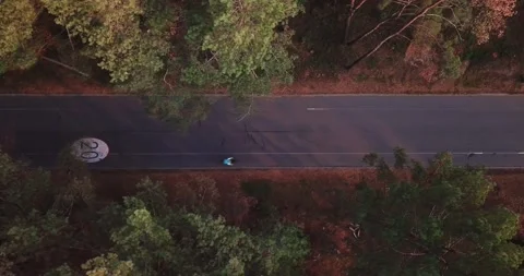 The drone takes off over a forest road with a bicycle path with a speed limit of Stock Footage 145255023