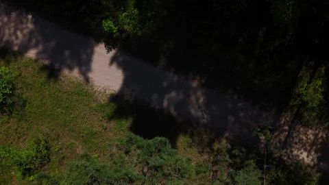 A drone takes off vertically over a forest path, above the trees, in a pine.. Stock Photos