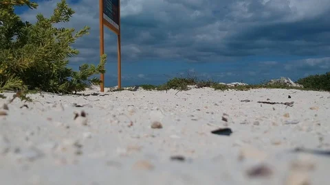 Drone taking off from Cancun Beach, Mexico Gulf, HD Drone Footage Stock Footage 94885695