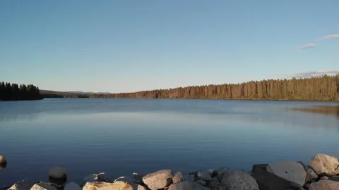 Drone taking off in forest Stock Footage 143169187