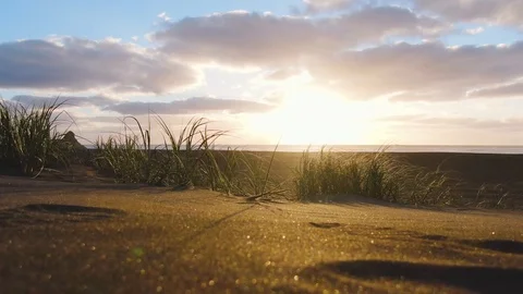 Drone taking off at Karekare Beach Stockbeeldmateriaal 101326229