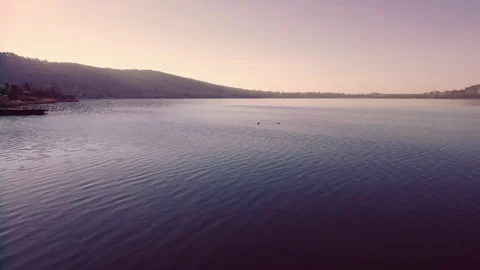 Drone Taking Off from Reeds Over Comabbio Lake at Purple Sunrise Stock Footage 316444566