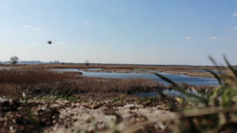 Drone Taking off on River Stock Footage 263505013