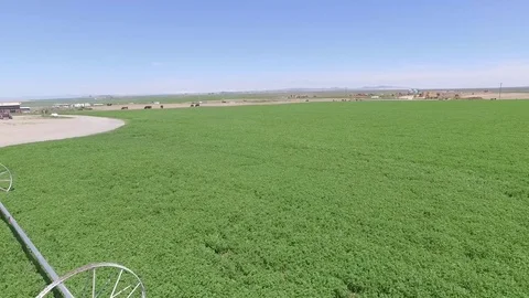 Drone taking a slow pass over farmland Stock Footage 76712822