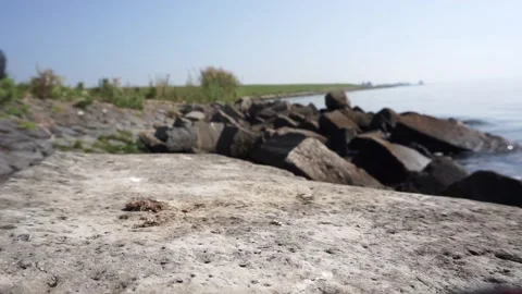 Drone taking off from a stone, The control of the drone in frame. Stock Footage 146047040