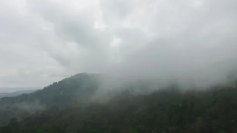 Drone through the fog Stock-Footage 221473093