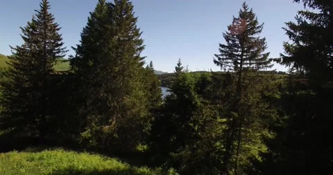 Drone through the forest to Guery Lake 動画素材 131834560