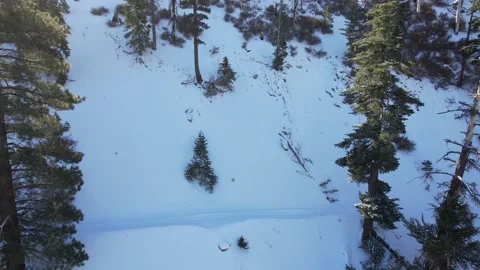 Drone Through fresh snow road Stock Footage 172264882