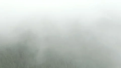 Drone through misty clouds over new zealand forest Video stock 133933301