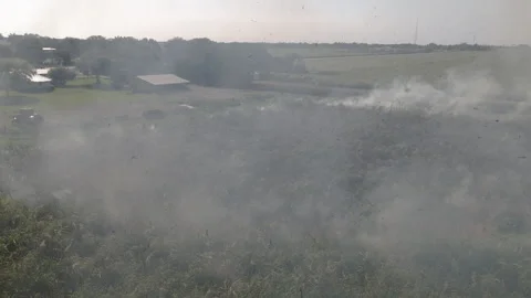 Drone Through Smoke Over Sugarcane Field Stock Footage 322023742