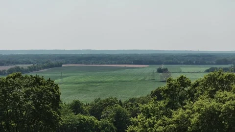 Drone through trees on a hillside. Stock Footage 242944023