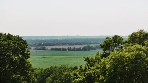 Drone through trees on a hillside. Stock Footage 242944445