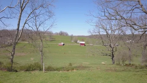 Drone through trees showing pretty farm Stock-Footage 128841725