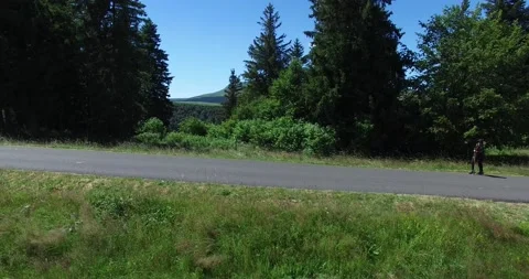 Drone through trees until Pavin Lake 動画素材 131835717