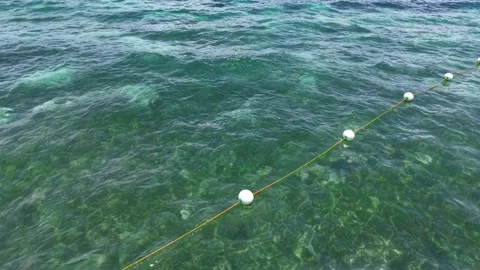 Drone Tilt-Down from Ocean Horizon to Coral Reef with Fish, Panglao Bohol Vídeo Stock 336645203