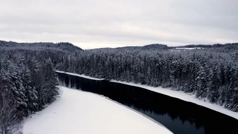 Drone tilt up of snow forest and river, trees in snow under white sky 스톡 동영상 146363384