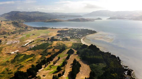 Drone Tilting Up Over Rolling Green Hills In New Zealand's Dunedin Bay 4K Stock Footage 234649461