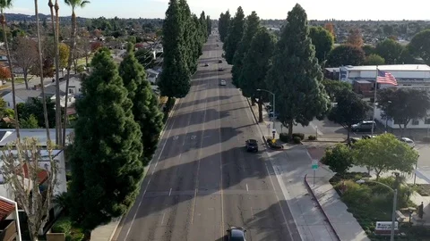 Drone time lapse of tree-lined street Video stock 121667404