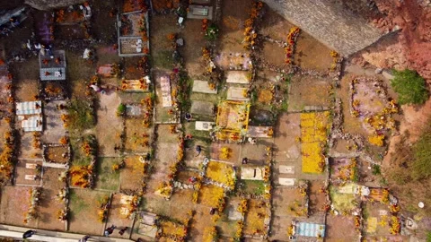 Drone timelapse over Day of the Dead cemetery with marigold flowers Stock Footage 317667852
