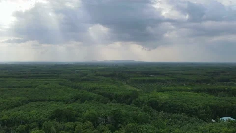 Drone timelapse shot over the forest about clouds Stock Footage 192573872