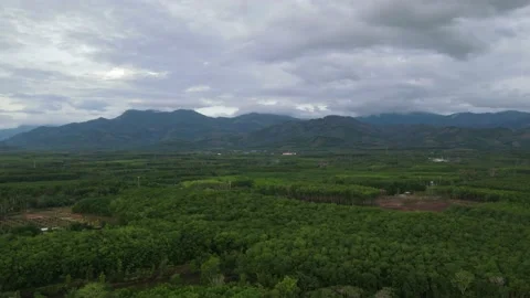 Drone timelaspe - clouds moving fast over the forest Stock Footage 192570436