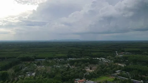 Drone timelaspe over the forest - clouds moving fast Stock Footage 192569175