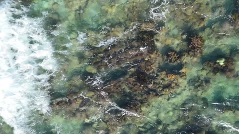 Drone top down aerial shot of tropical ocean coral life 動画素材 332740790