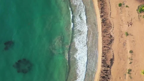 Drone Top-Down Aerial View of Waves on Tropical Beach, Puerto Rico Stockbeeldmateriaal 348417214