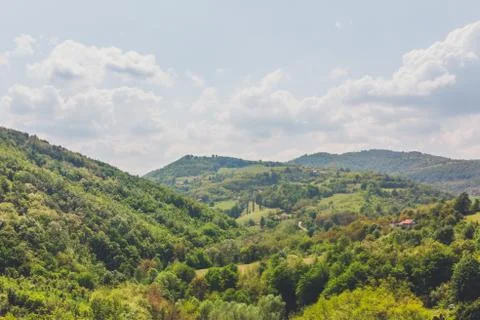 Drone top down aerial view of green forest on a hill. Stock Photos