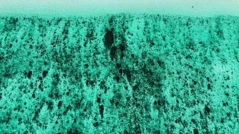 Drone top-down approaching turquoise waters and black reefs, Koh Ngai – 4K Video stock 325022343