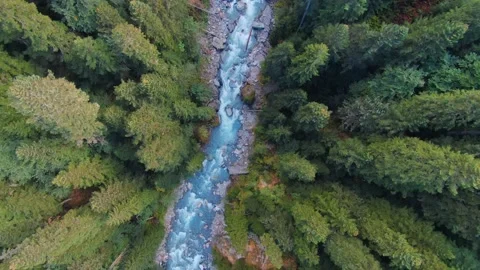 Drone top down beautiful glacial river flow among green spruce forest nature 4k  Stock Footage 156386764